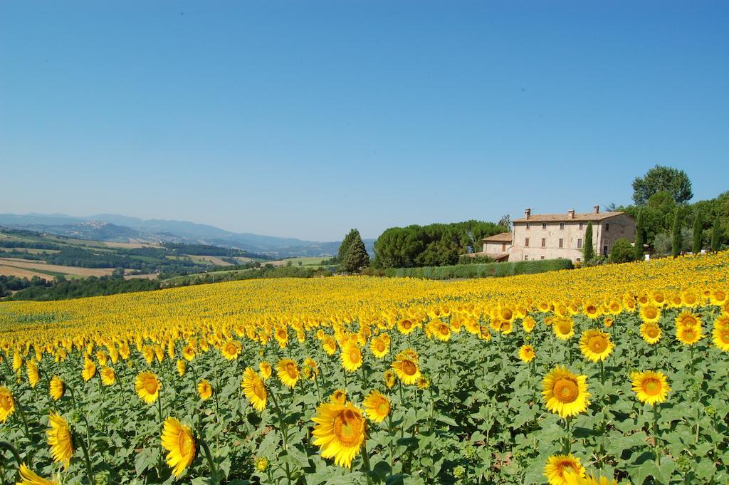 Agriturismo Casale Dei Frontini San Terenziano 외부 사진