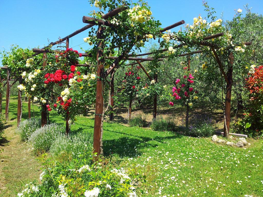 Agriturismo Casale Dei Frontini San Terenziano 외부 사진