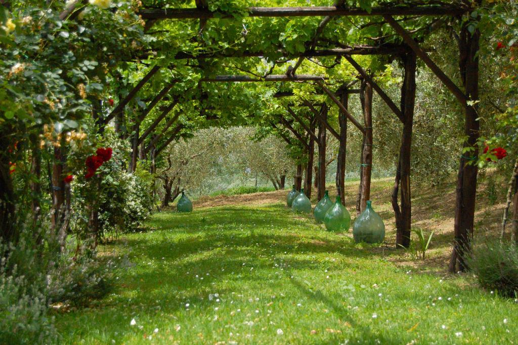 Agriturismo Casale Dei Frontini San Terenziano 외부 사진