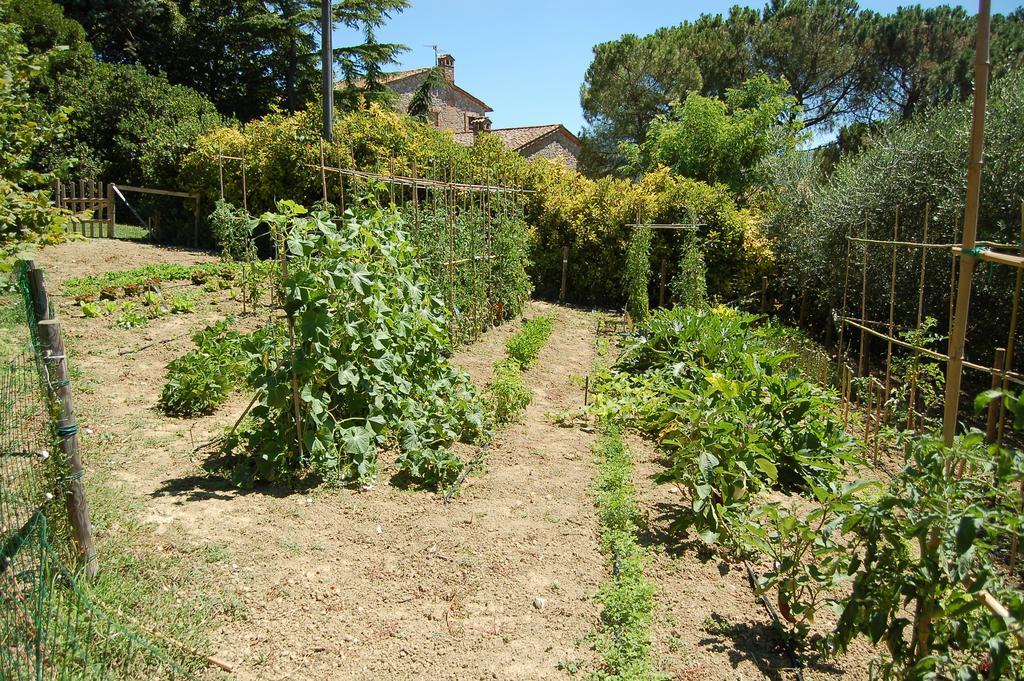 Agriturismo Casale Dei Frontini San Terenziano 외부 사진