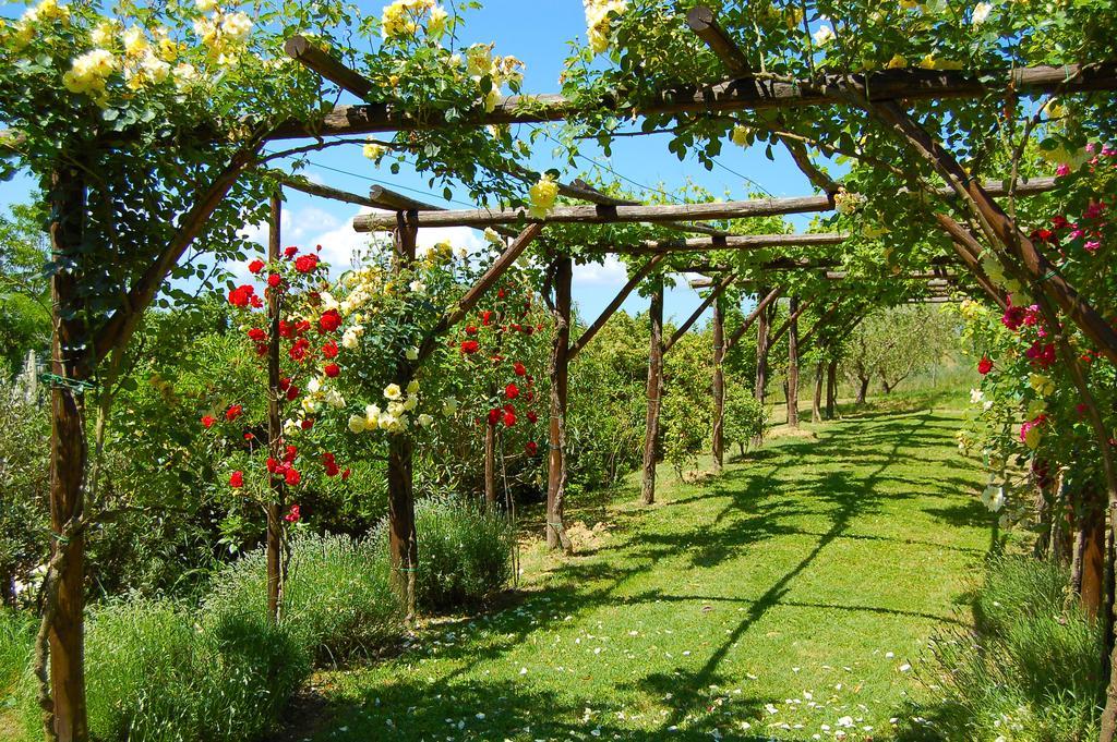 Agriturismo Casale Dei Frontini San Terenziano 외부 사진