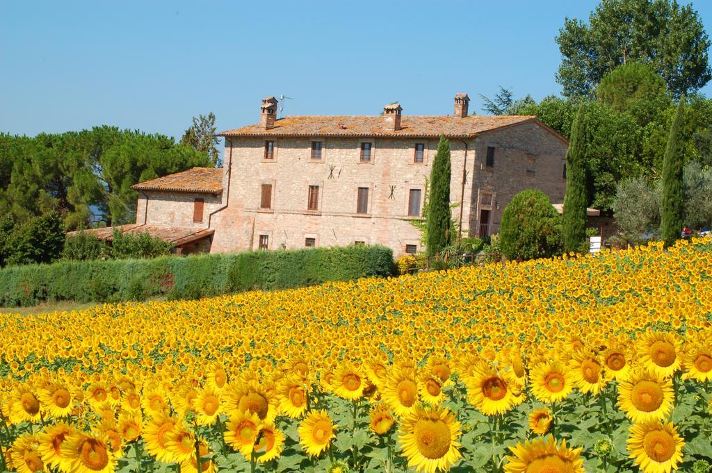 Agriturismo Casale Dei Frontini San Terenziano 외부 사진