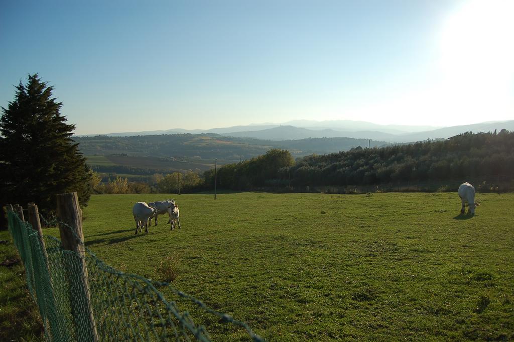 Agriturismo Casale Dei Frontini San Terenziano 외부 사진