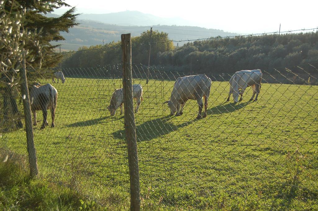 Agriturismo Casale Dei Frontini San Terenziano 외부 사진